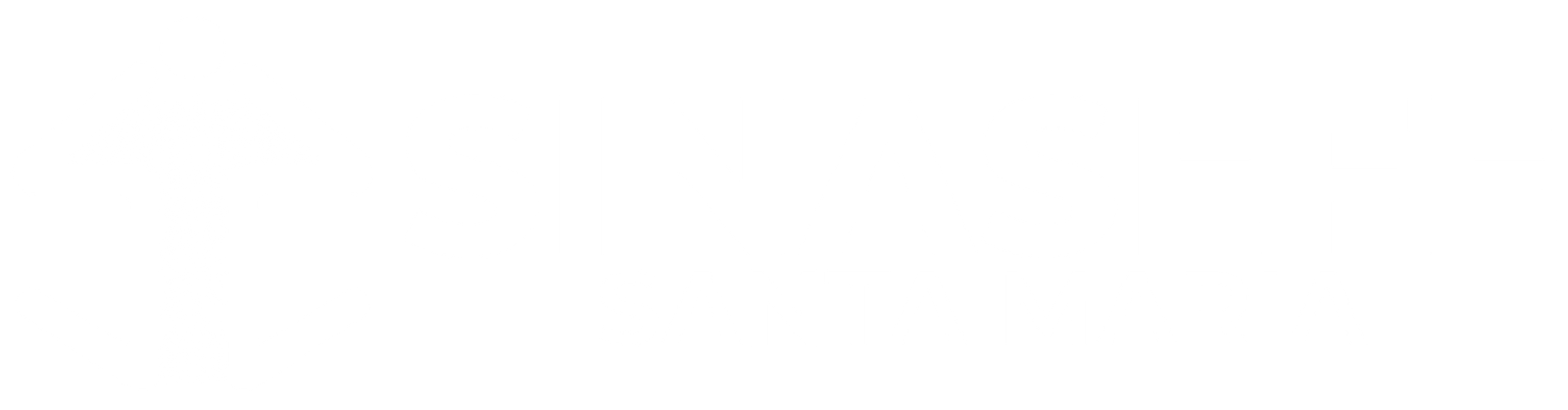 Sinasefe Santa Maria